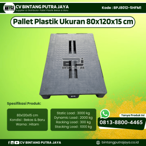 Pallet Plastik Bekas & Baru 80x120x15 cm - Warna Hitam  - Bentuk Flat [BPJ8012-5HFM1]